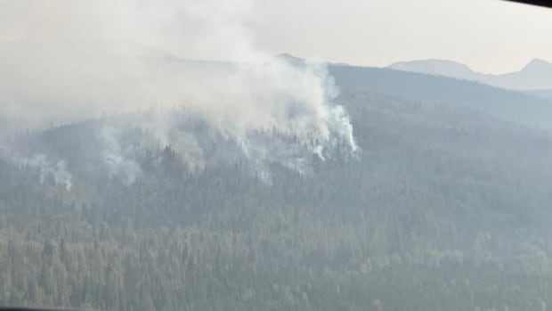 Wildfire smoke rises from trees on a hill