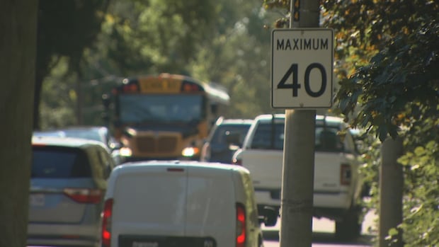 High Park residents call for 'meaningful' road safety changes on Parkside Drive | CBC News