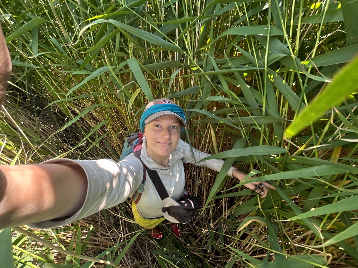 Uma mulher sorridente tira uma selfie enquanto fica entre as gramíneas altas. 