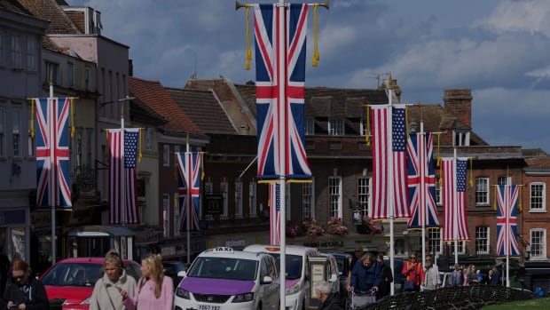 Flags on poles along a street