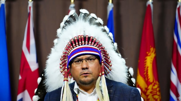 AFN, First Nations leaders in Manitoba concerned over representation on major projects advisory council