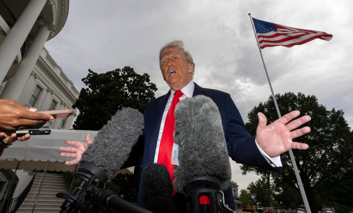 US President Donald Trump, with microphones at the forefront, the American flag and the White House in the background. 