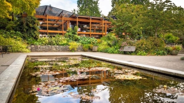a timber-framed structure reflectes in a rectangular pond