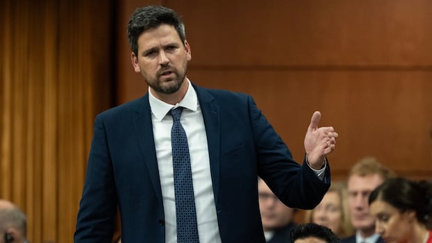 Government to table bill Friday criminalizing use of certain symbols to promote hate | CBC News