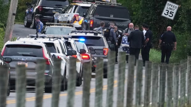 A row of police cars