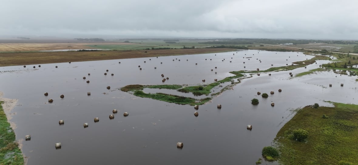 Un campo está lleno de agua y balas de heno varadas en el medio.