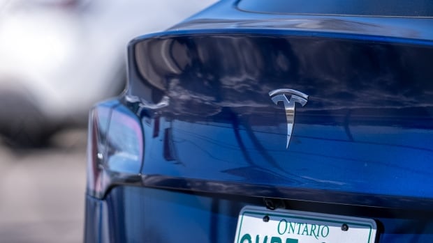 A back of a blue car with the Tesla "T" logo.