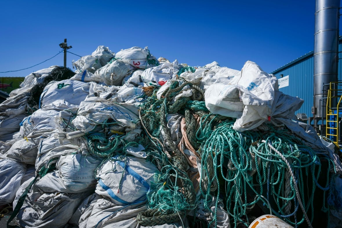 Discarded, lost or abandoned fishing gear is a leading cause of marine animal deaths.