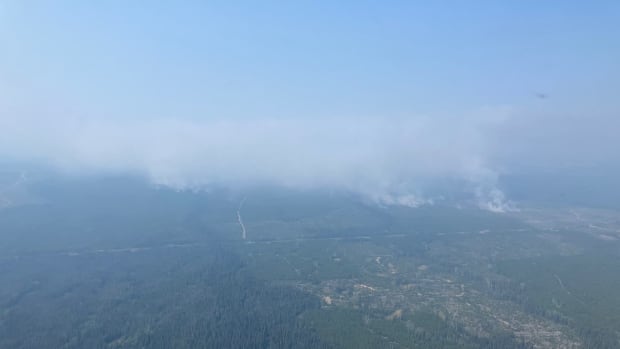 Smoke billows from a forest in an aerial photo. 