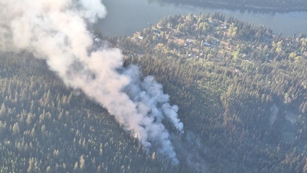 Smoke wafts above a lake on a sunny day.