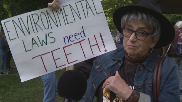 Canadians Protest Nation-Wide 'Draw the Line' Rally Against Carney Government's Agenda in St. John's