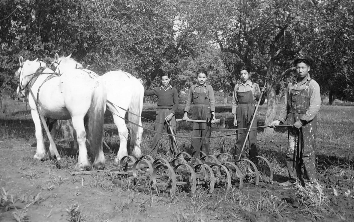Boys farming next to a horse