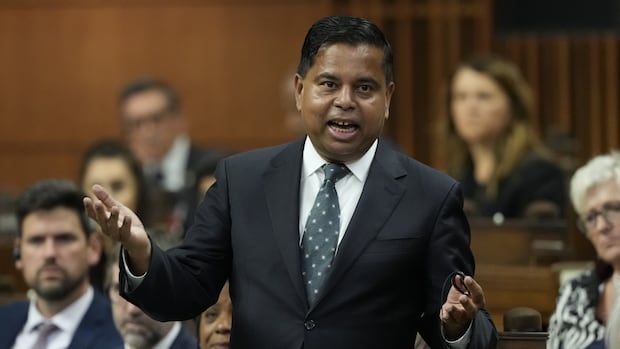 Public Safety Minister Anandasangaree Recorded Suggesting Police Lack Resources to Enforce Federal Gun Buyback