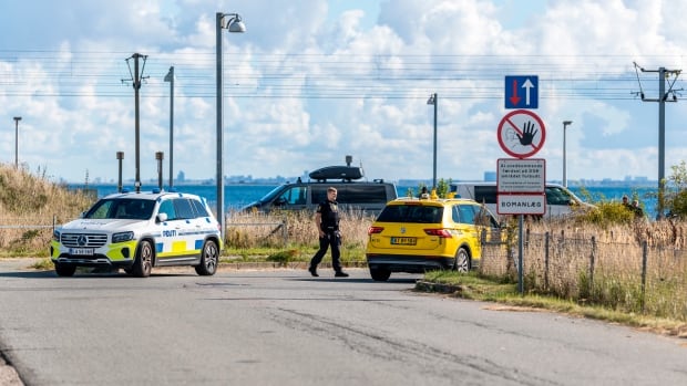 denmark-drone-airport.jpg
