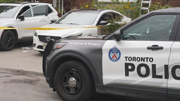 Toronto family works together to fight off men attempting to steal their car | CBC News