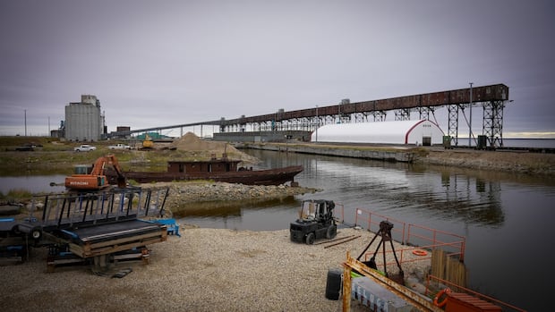 Churchill Grapples with Port Expansion as Economic Hopes Clash with Environmental Fears for Arctic Wildlife