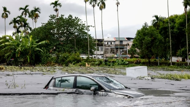 A car is shown in water up to its windows, with palm trees in the background.
