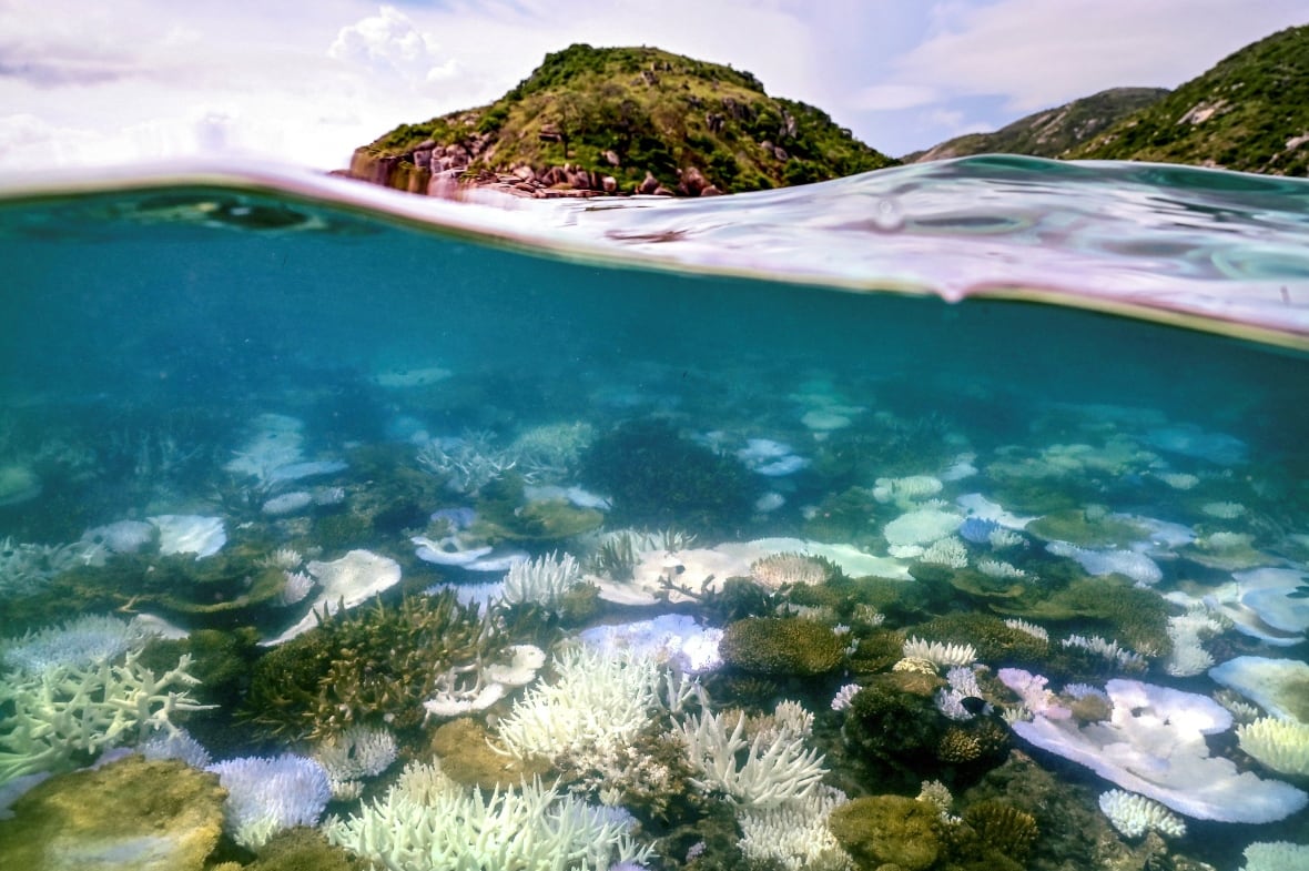 The coral reefs shown below the water line, the island of Helia rises above.