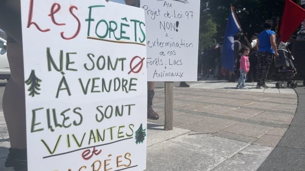 Legault government scraps forestry reform bill that drew widespread ire