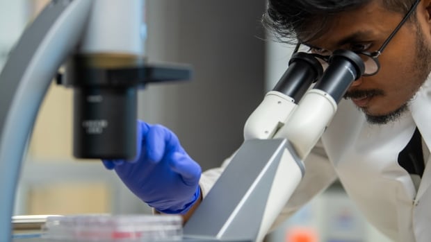 A man in a white lab coat wearing blue medical gloves looks through a microscope. 