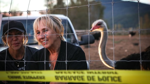 Stay of ostrich cull in southeast B.C. an ongoing potential health risk, CFIA says