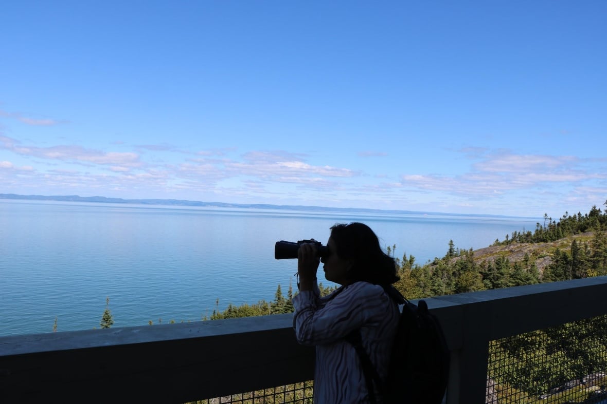 A person looking out onto the water with binoculars. 