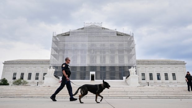 Man with dog walks in front of the Supreme Court building in Washington