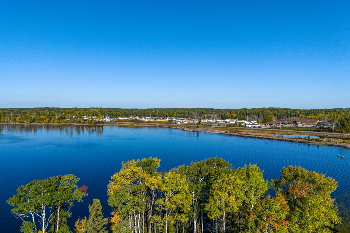 An aerial shot of a community seen beyond a lake. Green trees are seen in the foreground. 