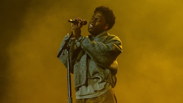Free surprise show by R&B artist Daniel Caesar draws thousands of fans to Toronto park | CBC News