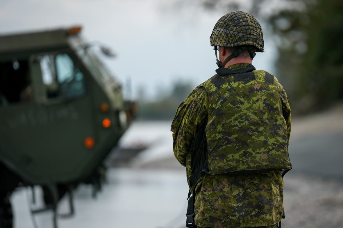 Reservistas del Ejército canadiense del 39.º Regimiento de Ingenieros de Combate y soldados del Ejército de EE. UU. participan en el ejercicio COUGAR CASTLE, un ejercicio de entrenamiento militar conjunto entre Canadá y EE. UU. en Chilliwack, Columbia Británica, el viernes 12 de septiembre de 2025.