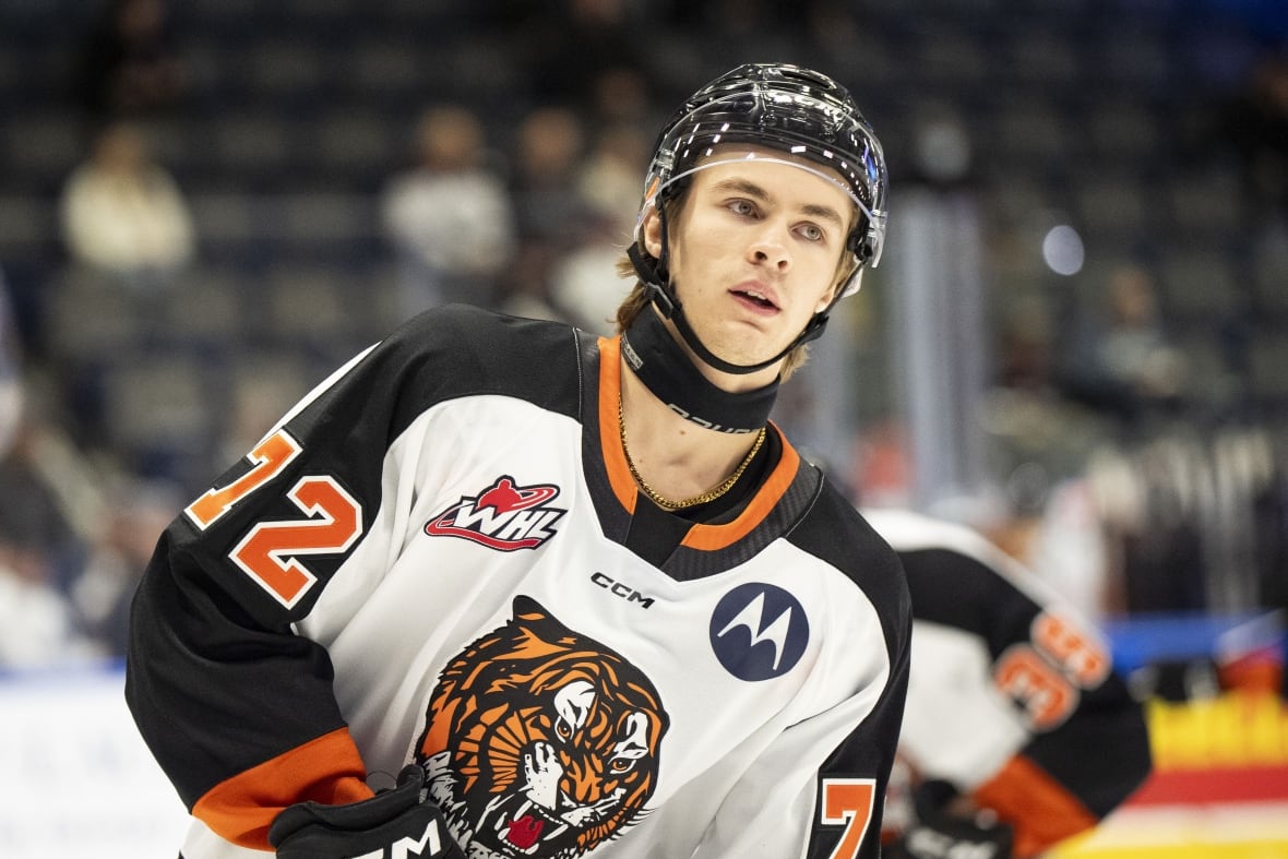 Canadian male hockey player.