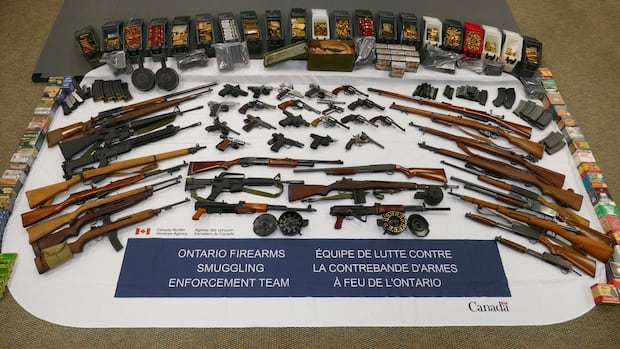 Border Agency Seizes 48 Firearms, 17,000 Rounds of Ammunition in Windsor Home