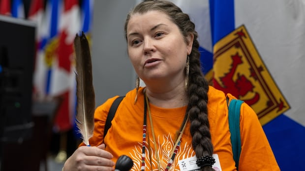 Crown lands bill would criminalize peaceful protests, critics say Crown lands bill would criminalize peaceful protests, critics say