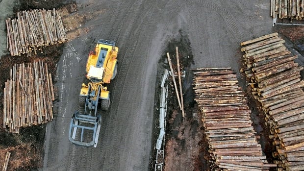 A truck drives past piles of cut logs.