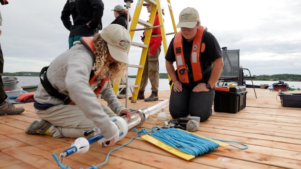 Researchers at Laurentian University look to the past to figure out blue-green algae blooms