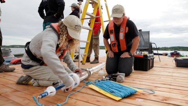 Two women working on a dock with some people in the background.