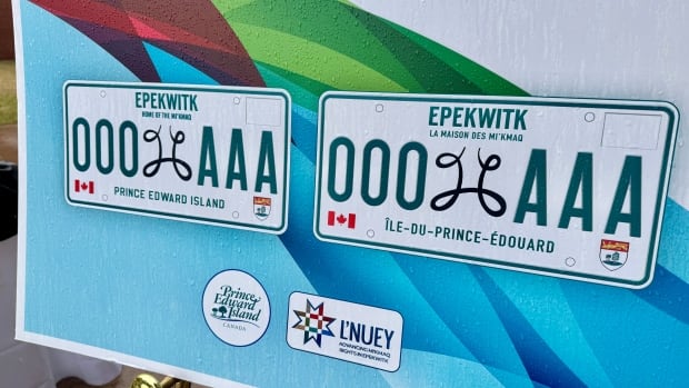 Two photos of new licence plate designs displayed on a poster.