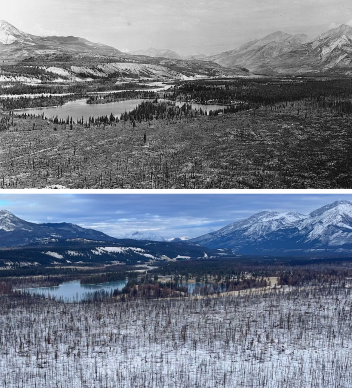 Two photographs, one black and white, the other in color, show the same mountain landscape with different amounts of trees. 