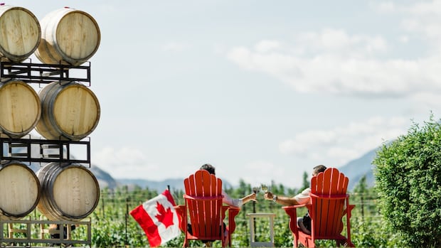 How the U.S. trade war uncorked a surprising boom for wineries across Canada