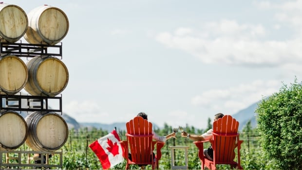 From coast to coast, vineyards across Canada have seen a surprising boom in the industry. Two people cheers each other sitting on red Muskoka chairs against a vineyard scenery.
