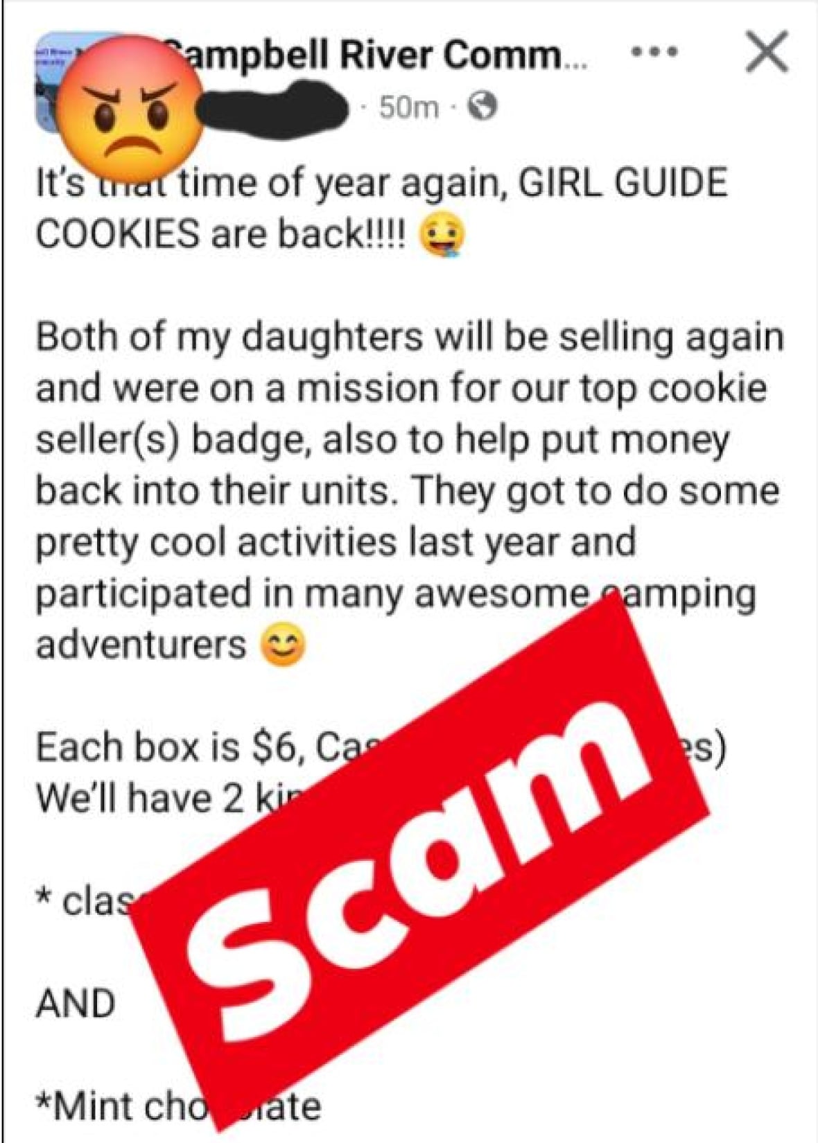 A social media screenshot of someone trying to sell Girl Guide cookies, and large red text on it reading 'Scam'.