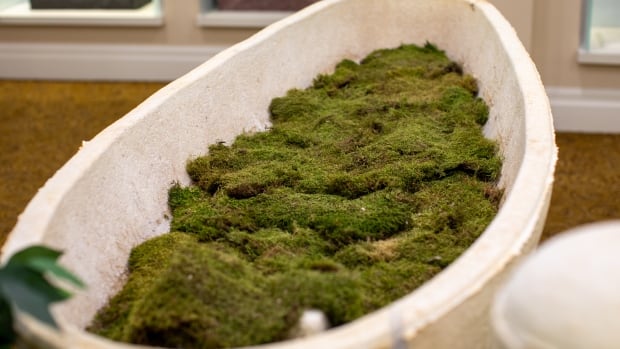 A boat-like vessel filled with moss