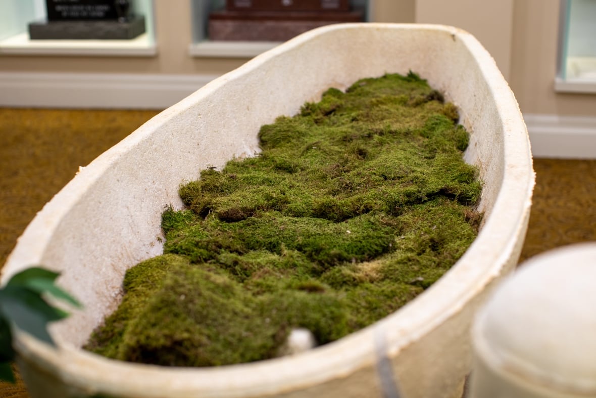 A boat-like vessel filled with moss