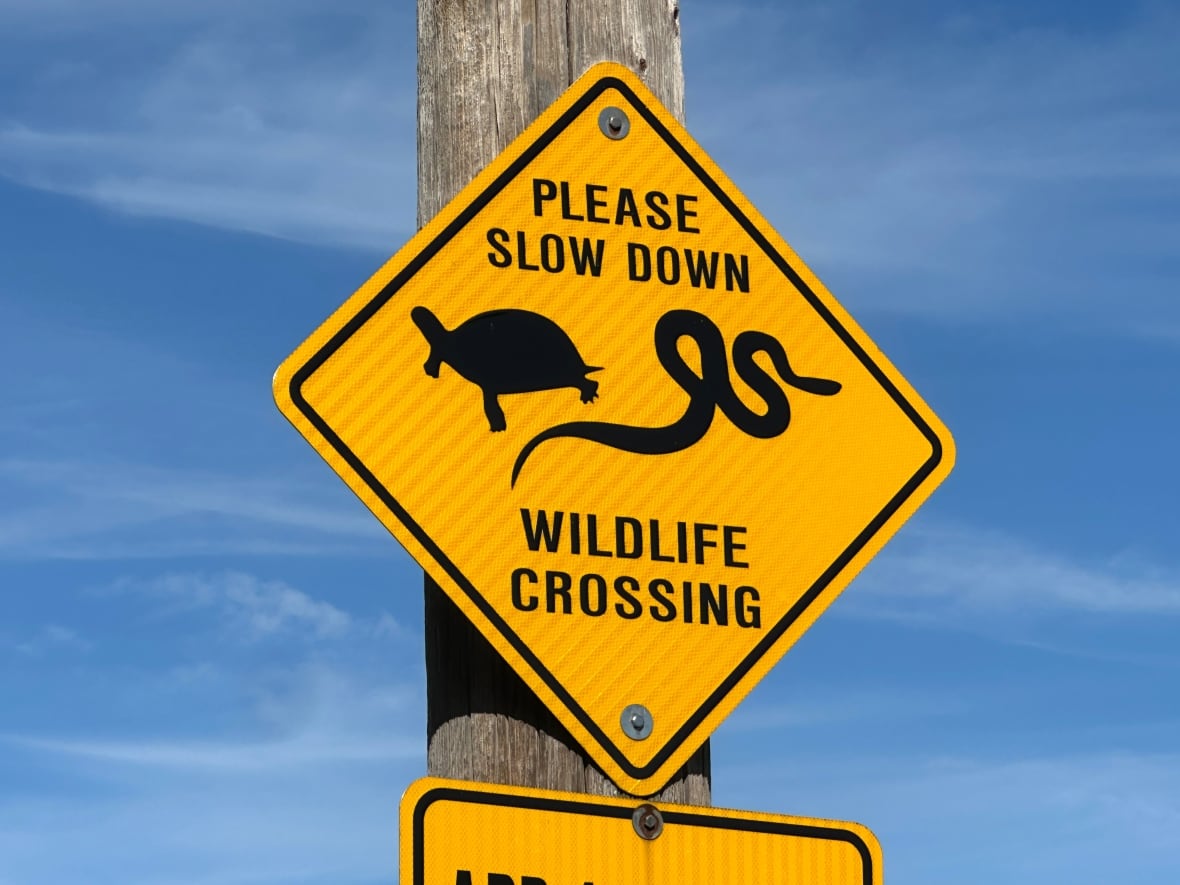 A road sign advising of animal crossings.