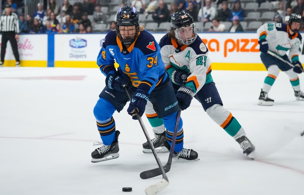 Two hockey players compete for the puck.