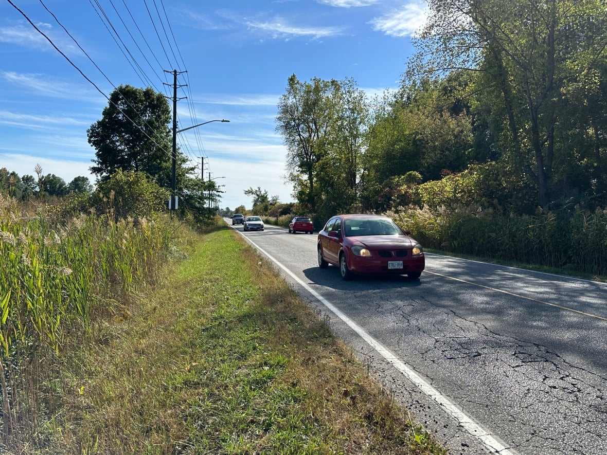 Vehicles on a roadway.