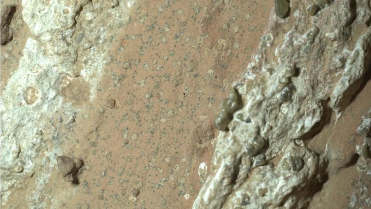 A stripe of reddish rock between two whitish sections has unusual looking specks in it. 