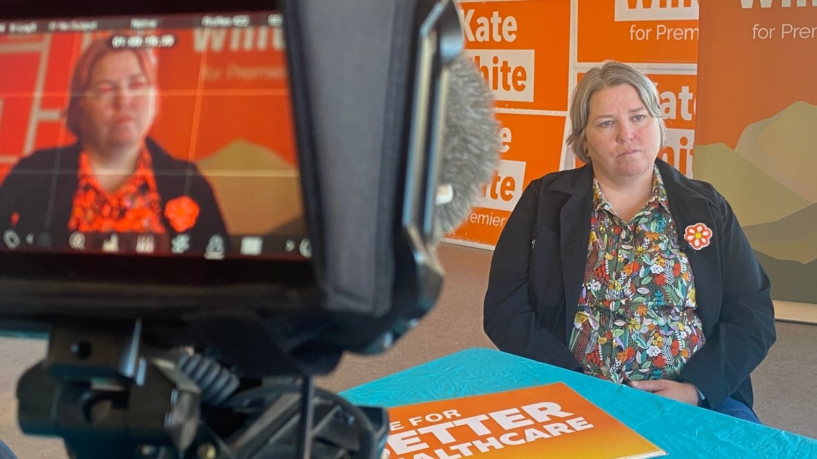 Kate seated at a table with NDP signs in the background.  The viewfinder of a TV camera is in the foreground and off to the left, through which one can see a second image of Kate, as captured by the camera. 