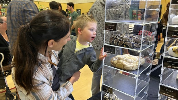 Reptile expo brings out exotic animal enthusiasts of all ages | CBC News