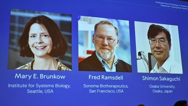 American, Japanese scientists win Nobel prize in medicine | CBC News